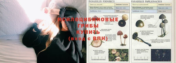 меф Покровск