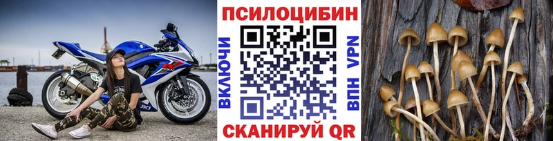 Псилоцибиновые грибы Psilocybe  Купить закладки  Киреевск 
