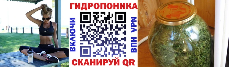 Шишки марихуана SATIVA & INDICA  Купить где  Киреевск 